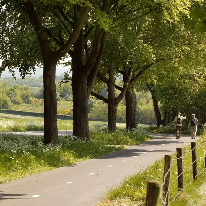 Ervaar het heuvelgebied van Berg en Dal