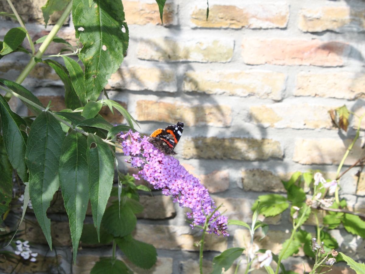 Boerderij middenin de natuur