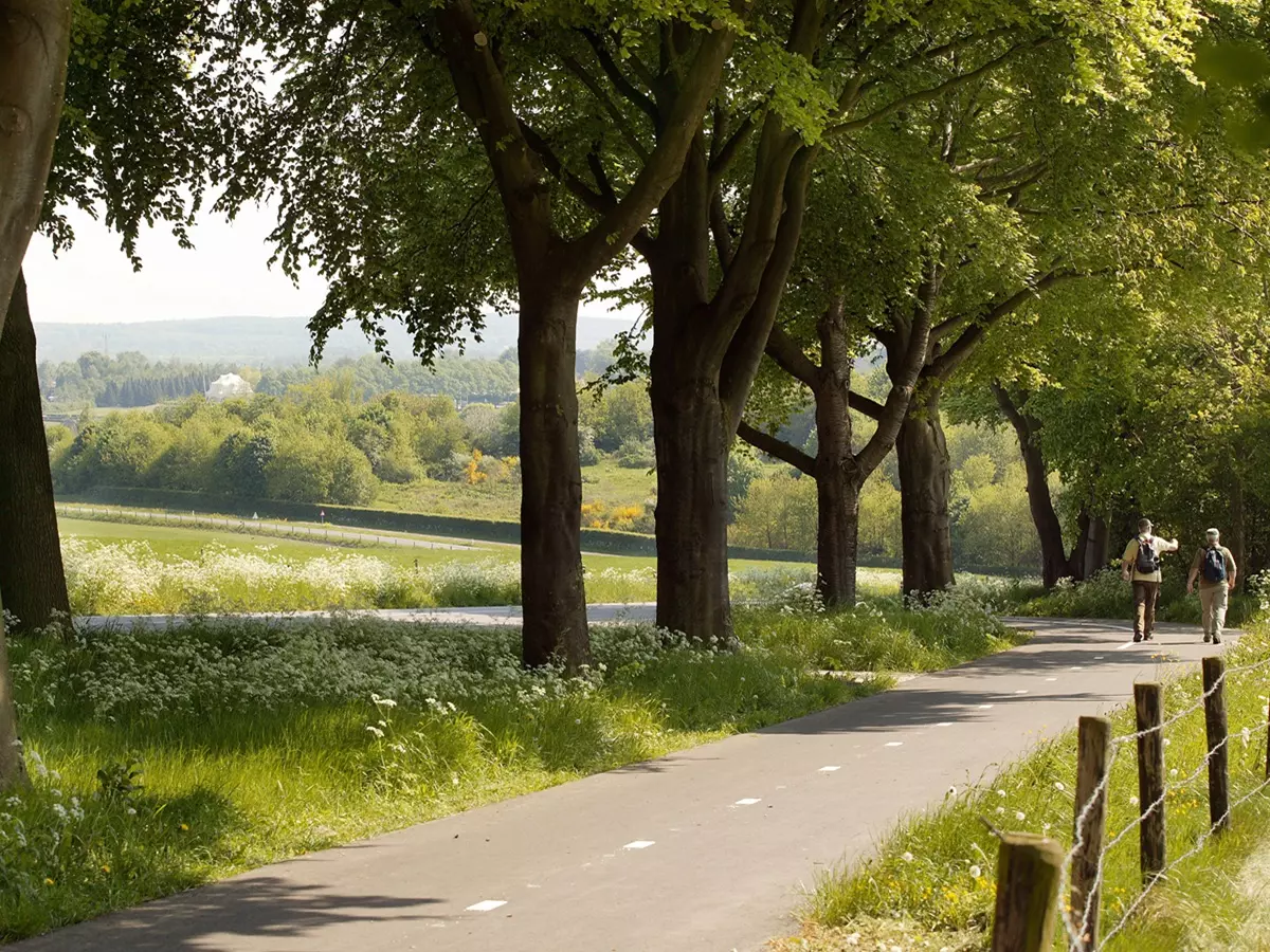Prachtig uitzicht over de Zevenheuvelenweg Berg en Dal heeft toeristisch zeer veel te bieden